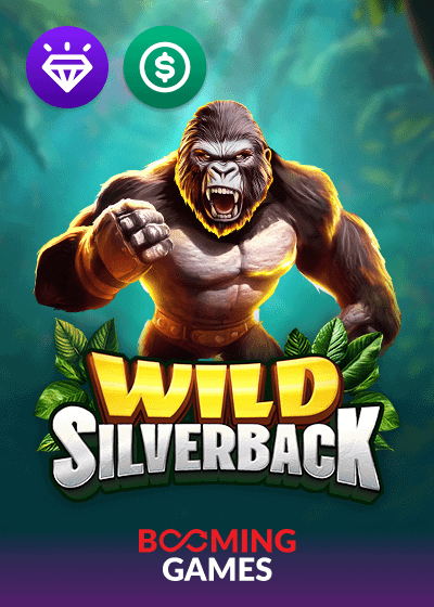 Wild Silverback